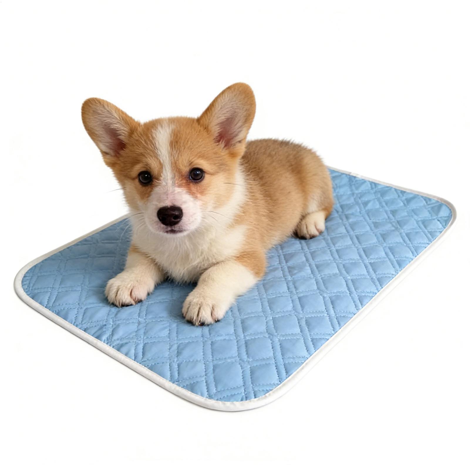 Pet Supplies Self Wash - 35x45cm Summer Pet Mat Cooling Dog