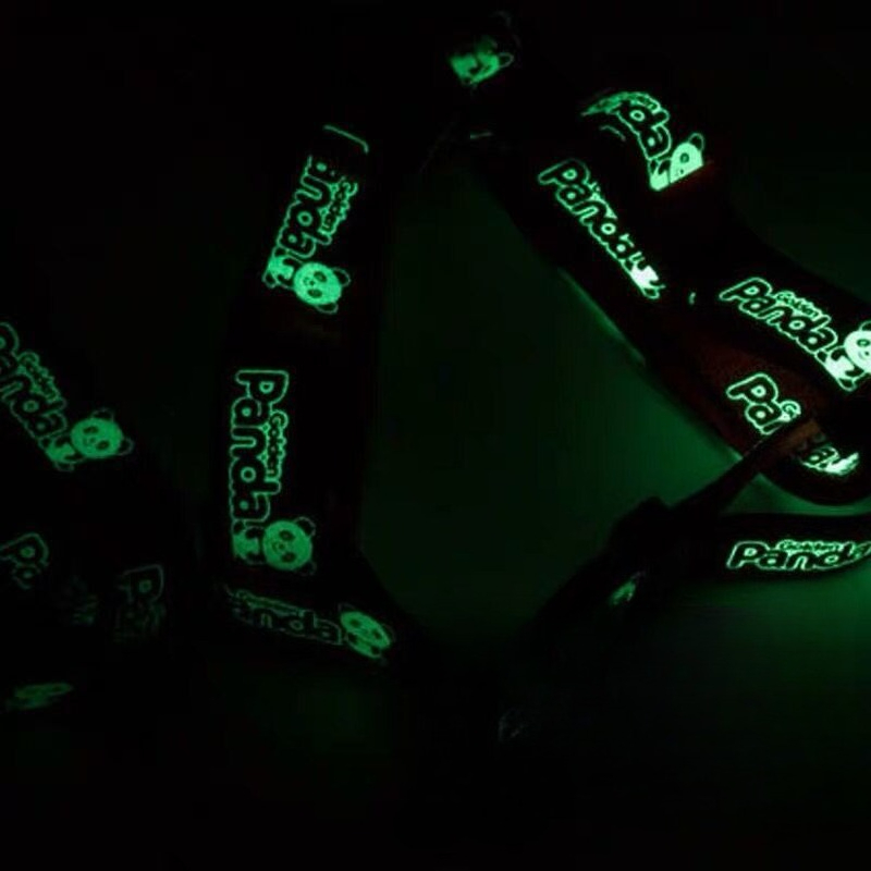 Pet Supplies Luminous Collar A - Pet Supplies For Dogs review and price