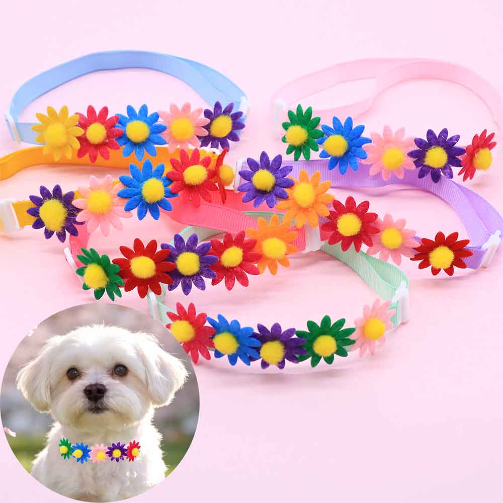 50PCS Colorful Dog Bowties Flo - Pet Supplies Hours review and price