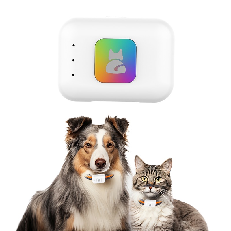 Pet GPS AGPS Tracking Device 4 - Pet Supplies Direct review and price