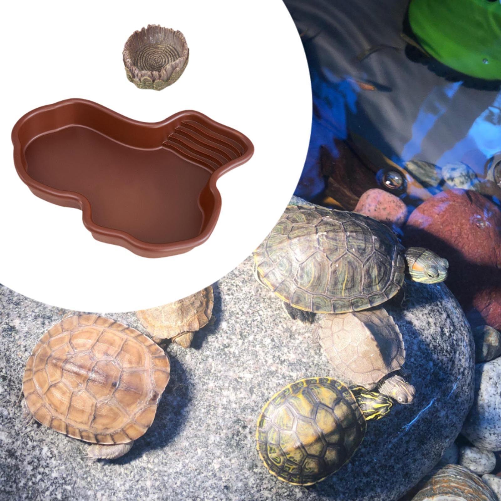 Reptile Bathing Dish Pool Deco - Pet Supplies Is Food review and price