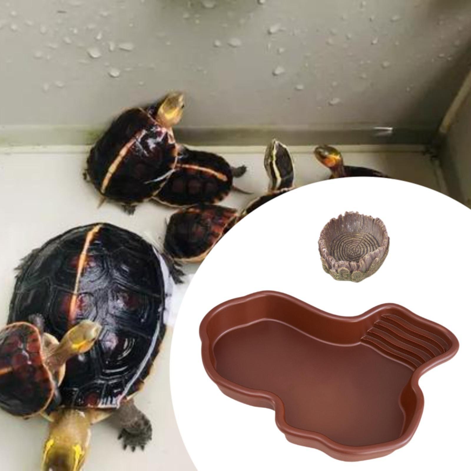 Reptile Bathing Dish Pool Deco - Pet Supplies Is Food review and price
