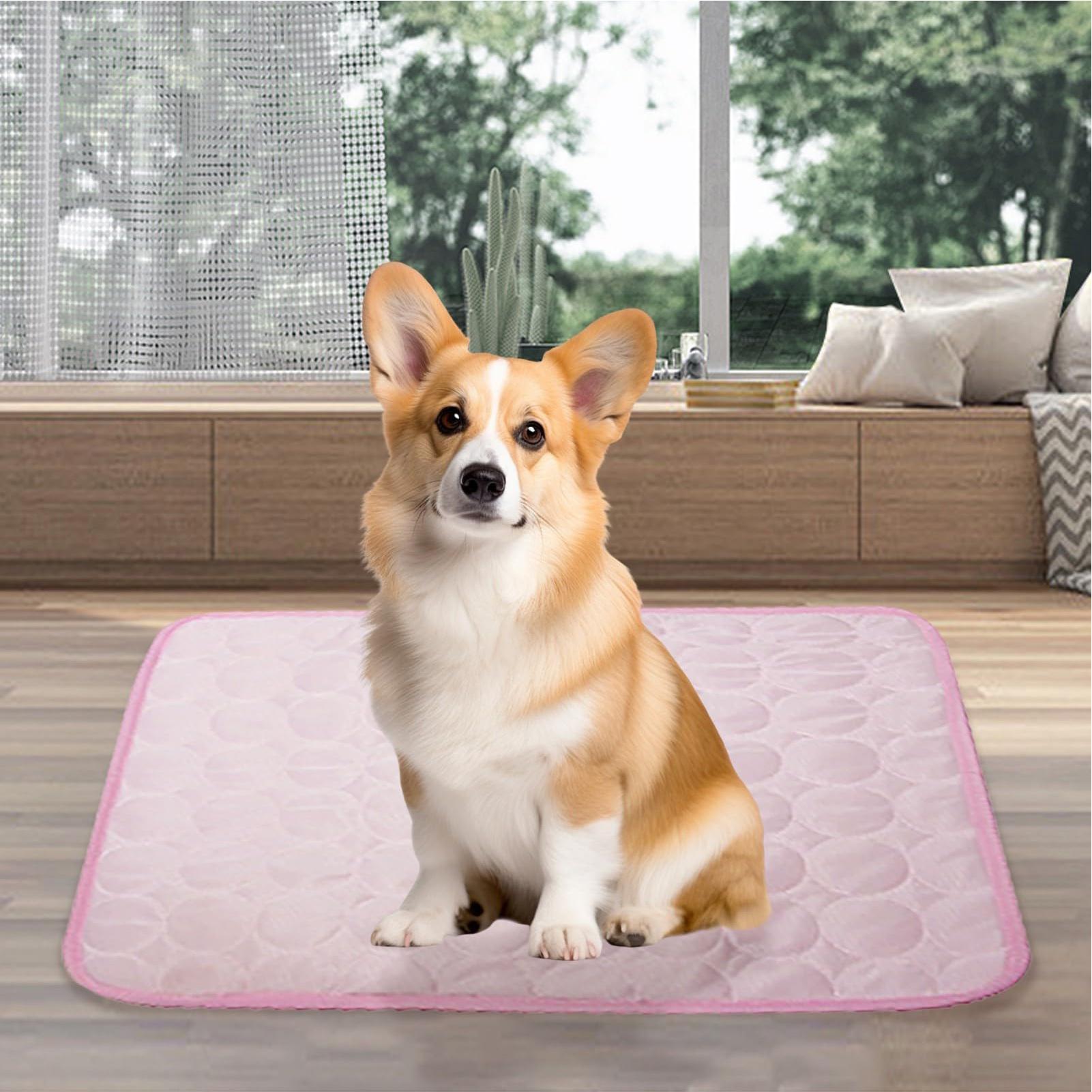 Summer Pet Mat Cooling Dog Pad - Pet Supplies Self Wash review and price