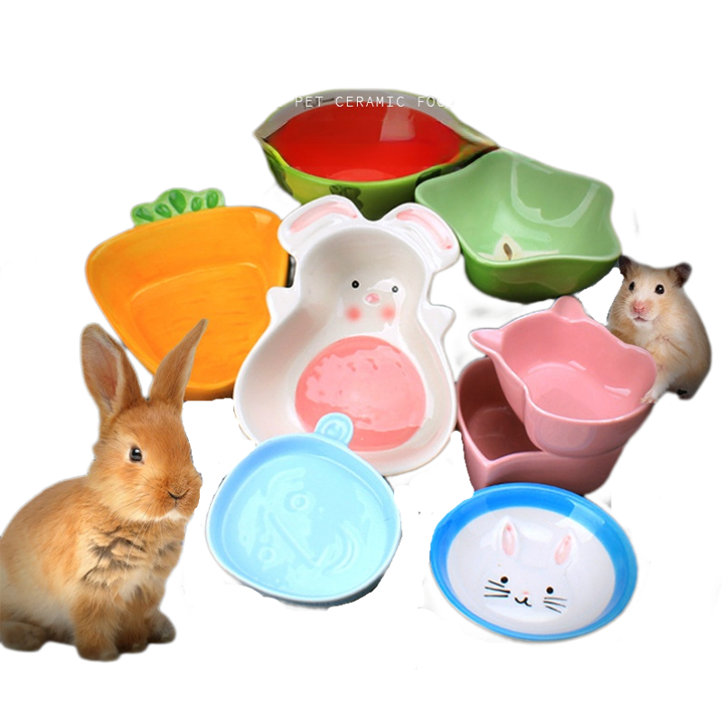 1PC Hamster Feeding Bowl Color - Pet Supplies Is Food review and price