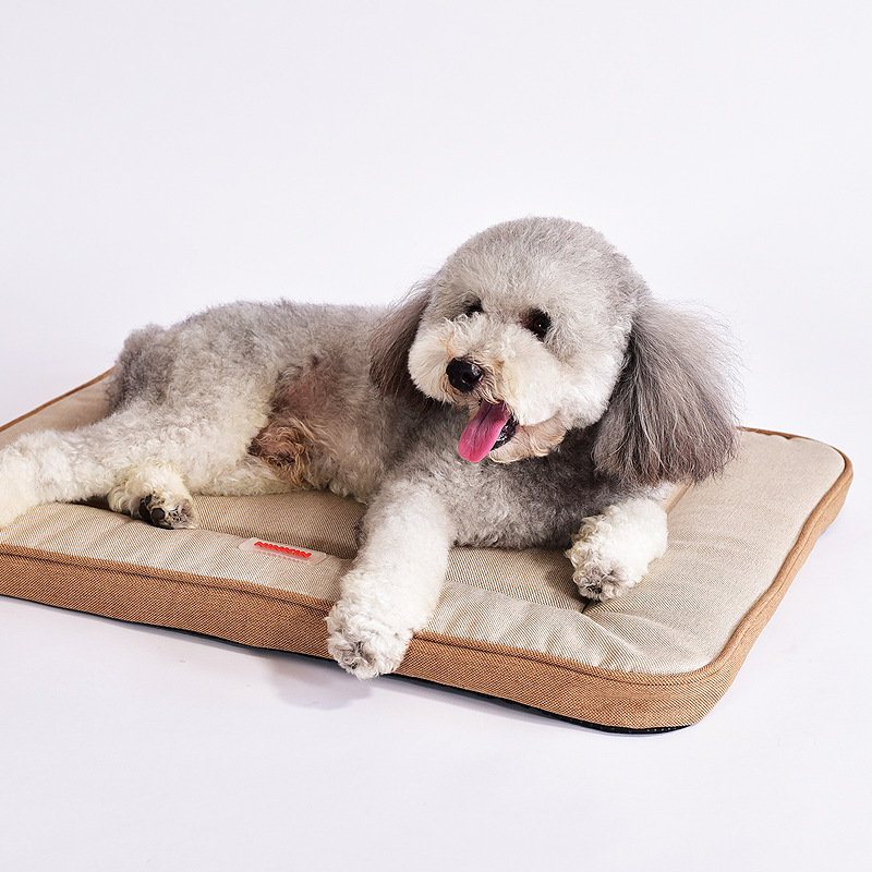 Four Seasons Pet Supplies Dog  - Pet Supplies Hours review and price