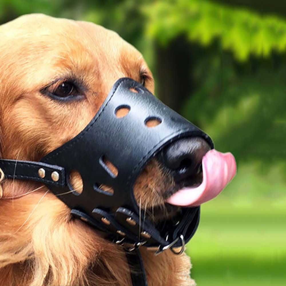 Anti-Biting Secure Anti Bark C - Pet Supplies Hours review and price