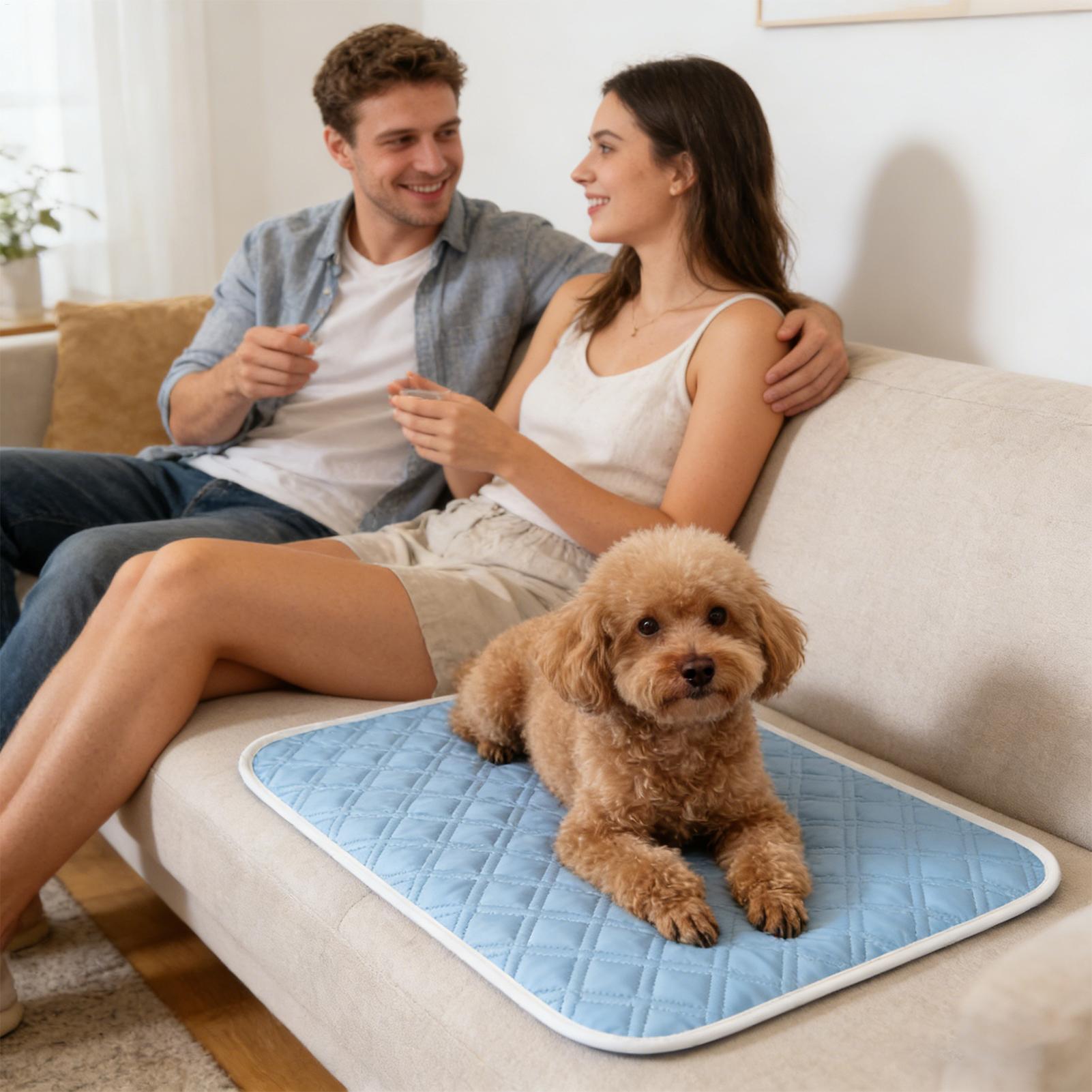 Summer Pet Mat Cooling Dog Pad - Pet Supplies Self Wash review and price