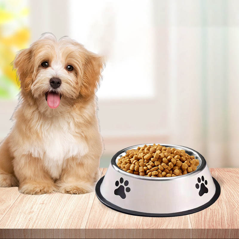 Stainless Steel Large Capacity - Pet Supplies Hours review and price
