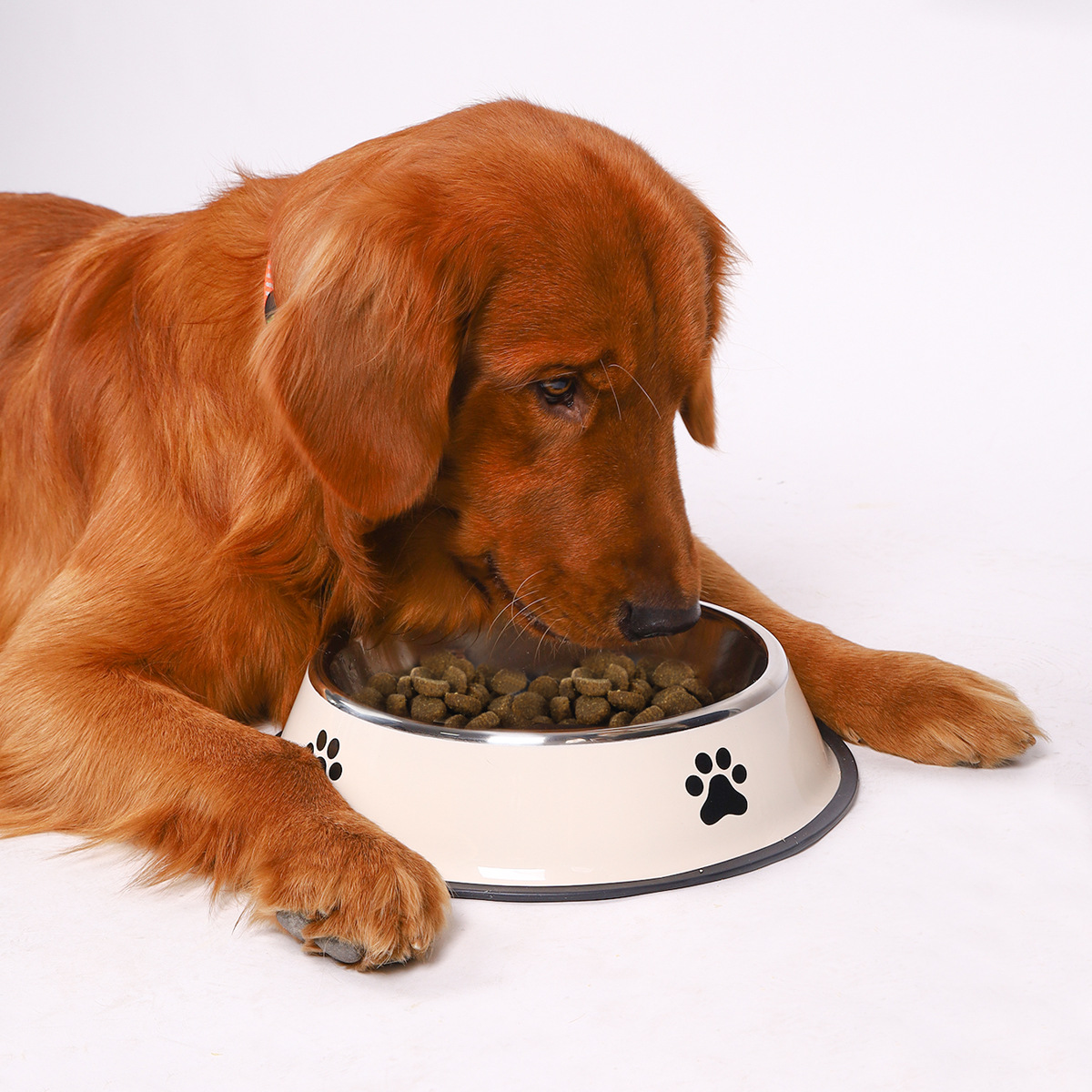 Stainless Steel Large Capacity - Pet Supplies Hours review and price