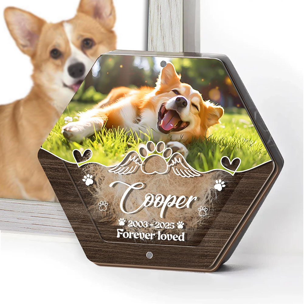 Personalized Name Wooden Carvi - Pet Supplies Direct review and price