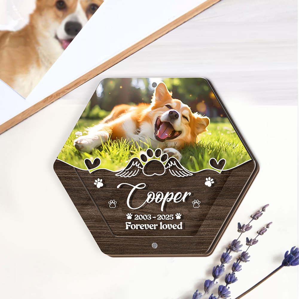 Personalized Name Wooden Carvi - Pet Supplies Direct review and price