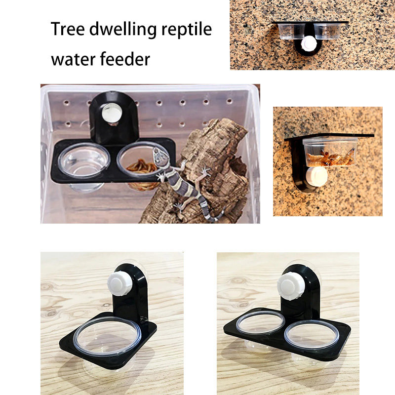 Reptile Tank Accessories Insec - Pet Supplies Is Food review and price