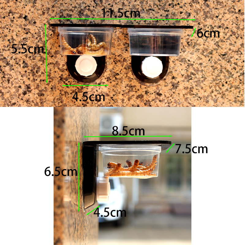 Reptile Tank Accessories Insec - Pet Supplies Is Food review and price