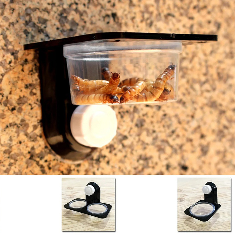 Reptile Tank Accessories Insec - Pet Supplies Is Food review and price