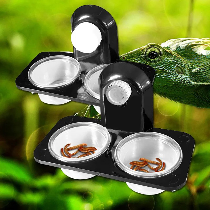 Reptile Tank Accessories Insec - Pet Supplies Is Food review and price