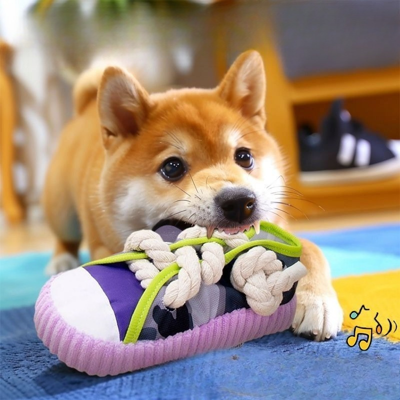 Dog Squeak Toy Teeth Grinding  - Pet Dental Chew Toy review and price