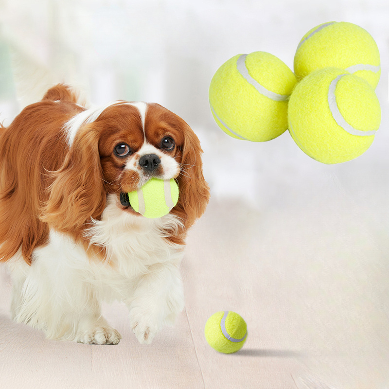Interactive Striped Rubber Ten - Pet Dental Chew Toy review and price