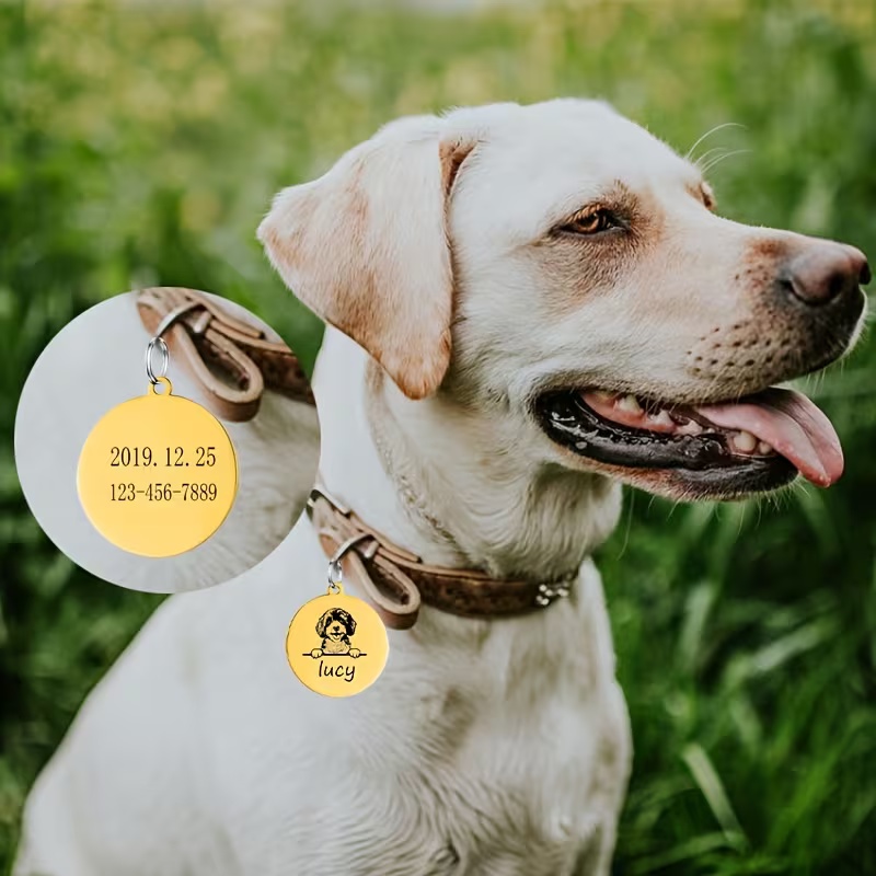 Custom Pet Name Puppy Anti-los - Pet Supplies Direct review and price