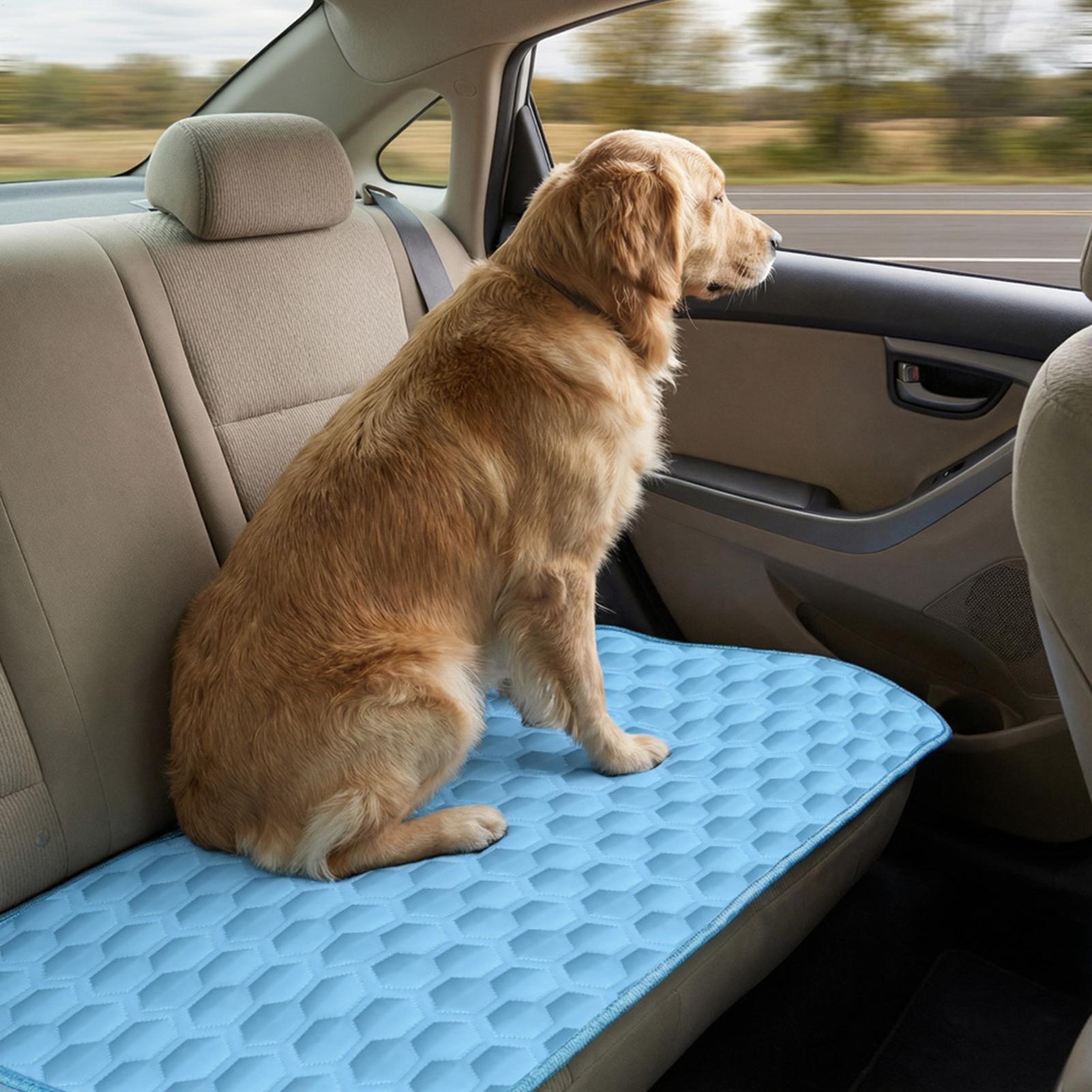 Summer Pet Mat Cooling Dog Pad - Pet Supplies Self Wash review and price
