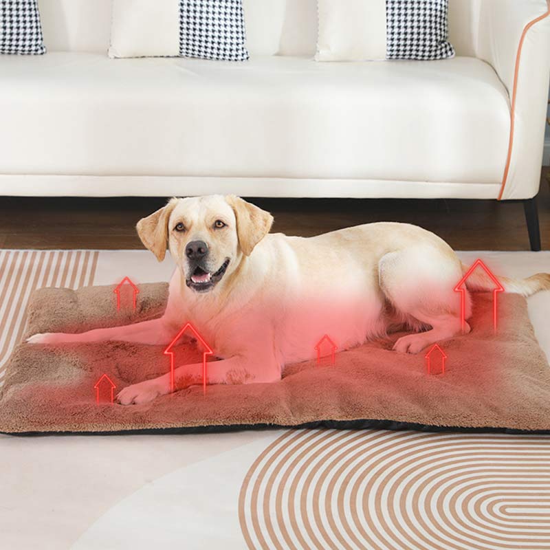 Self-Warming Heated Pet Pad Th - Pet Supplies Self Wash review and price